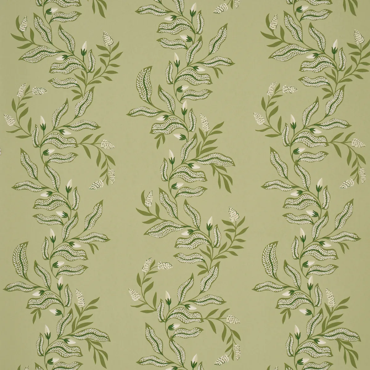 VAGARY VINES HONEYDEW Schumacher Wallpaper wallpaper - SKU 5016970
