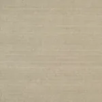 VALENTIN JASPER Schumacher Wallpaper wallpaper - SKU 5010064