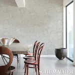 color DOVE