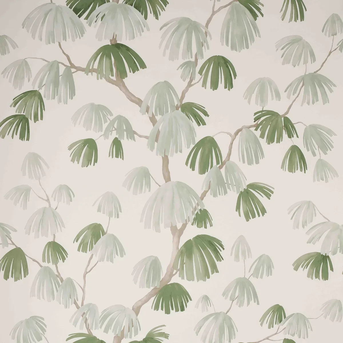 5008332 | WEEPING PINE – SAGE
