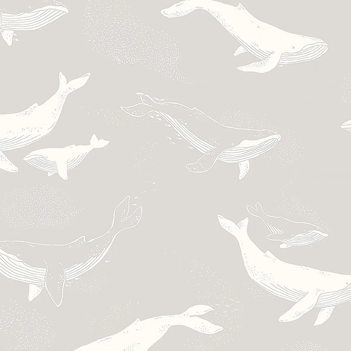WHALES GREY Schumacher Wallpaper wallpaper - SKU 7452