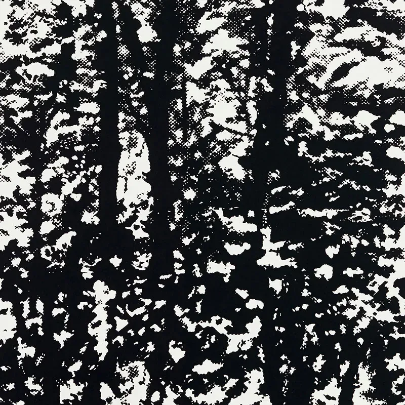 WOODLAND NIGHT Schumacher Wallpaper wallpaper - SKU 5007444