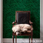 XANADU MALACHITE Schumacher Wallpaper wallpaper - SKU 5012600