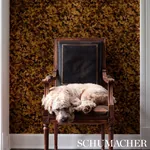 XANADU METALLIC - VINTAGE GOLD Schumacher Wallpaper | Wallpa XANADU METALLIC VINTAGE GOLD Schumacher Wallpaper wallpaper - SKU 5012800