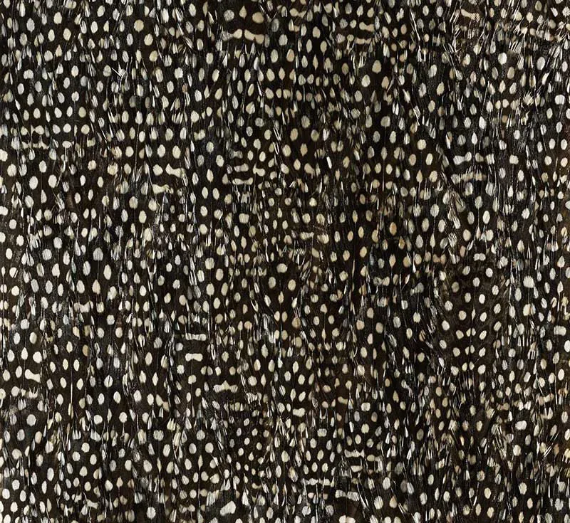 ZINC BLACK & WHITE Schumacher Wallpaper wallpaper - SKU 5008379