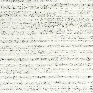 Thibaut Adria in Onyx (W8796)