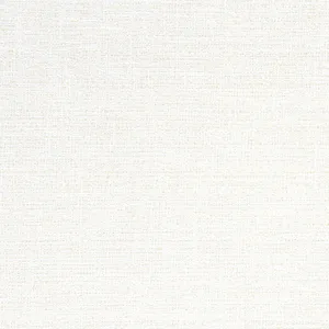 Thibaut Adria in Salt (W8791)