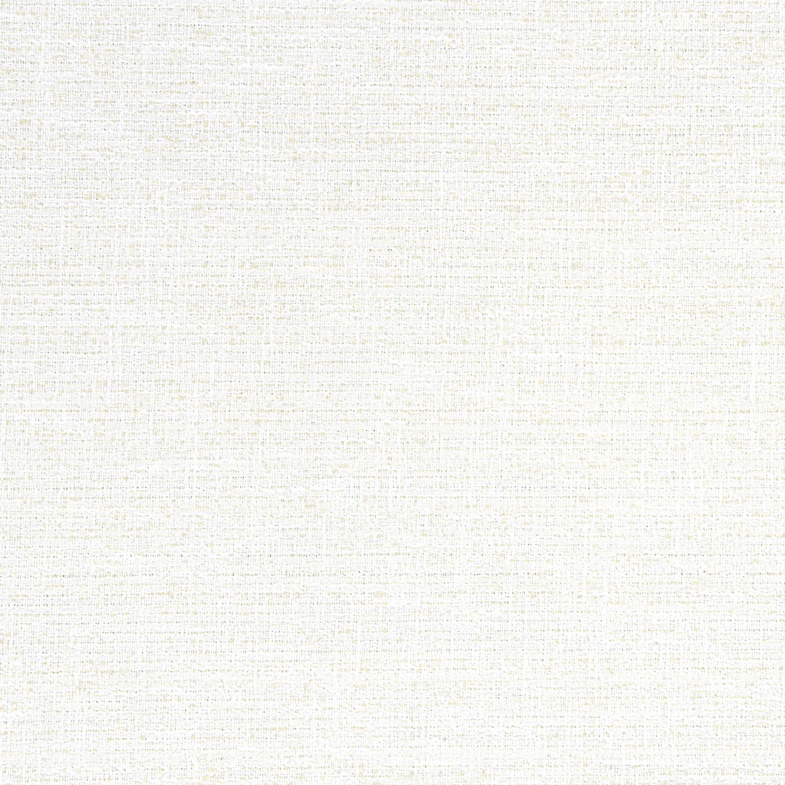Thibaut Adria in Salt (W8791)