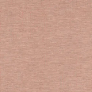 Thibaut Ainsley in Cider (W9104)