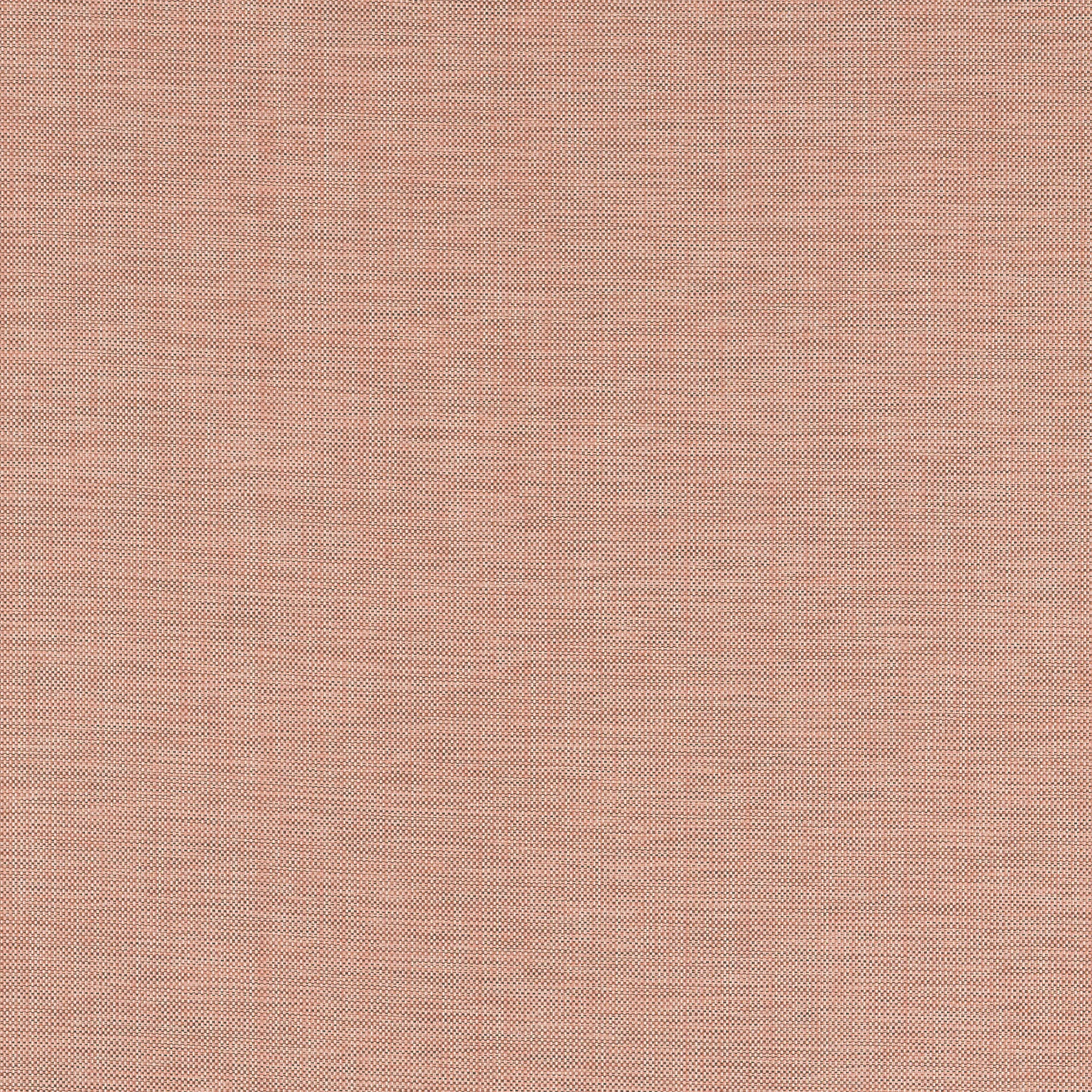 W9104 | Ainsley – Cider
