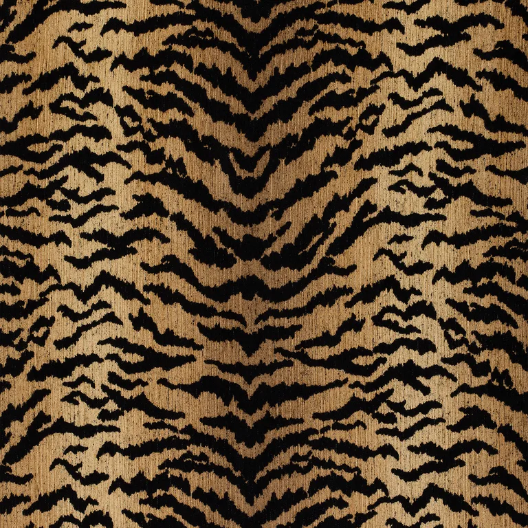 Thibaut Aja in Black (W80450)