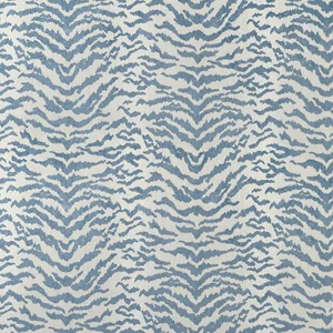 Thibaut Aja in Powder (W711317)