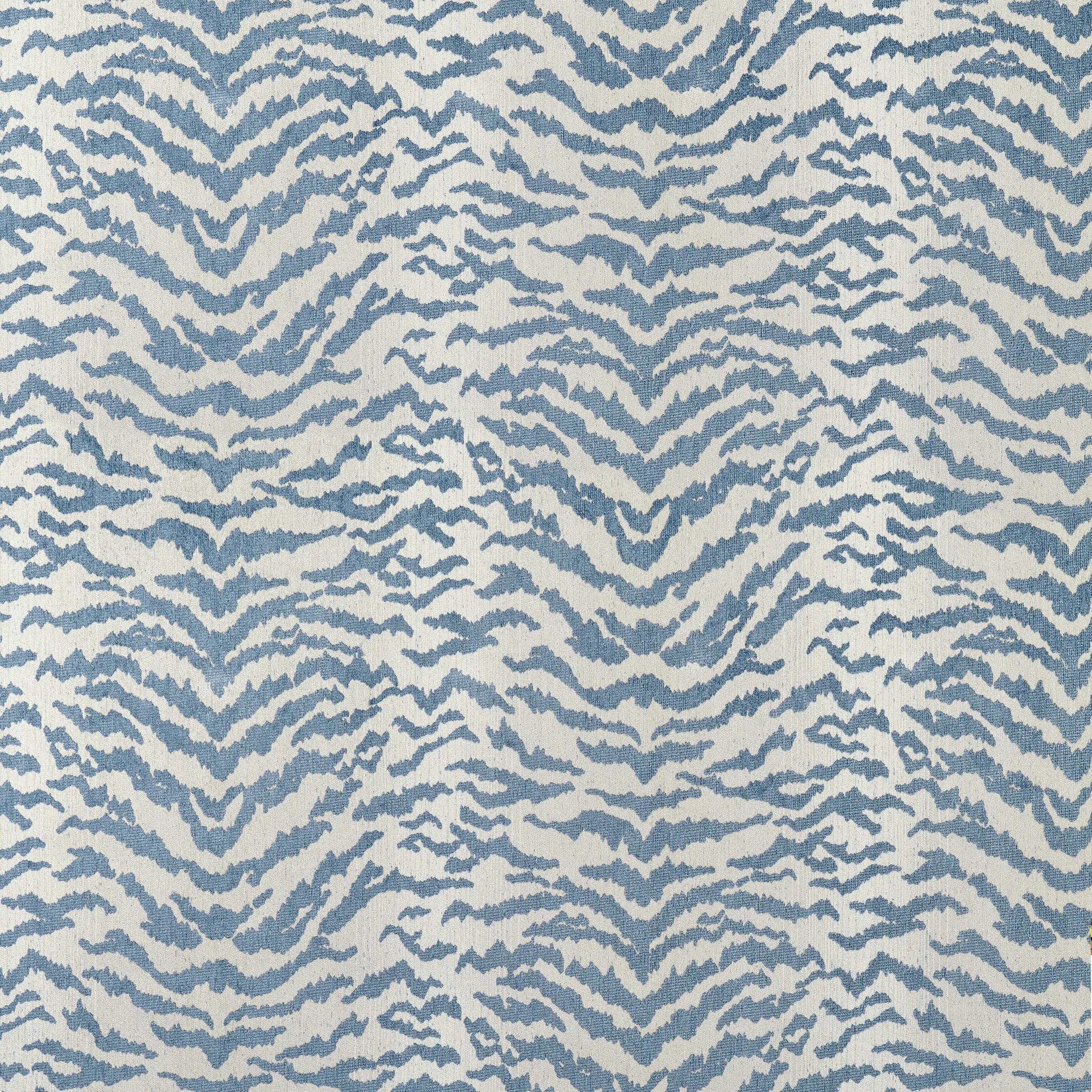 Thibaut Aja in Powder (W711317)