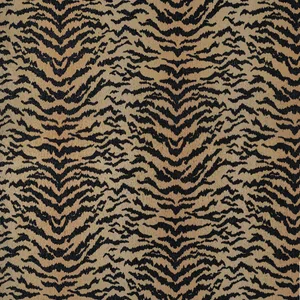 Thibaut Aja in Tiger (W711318)