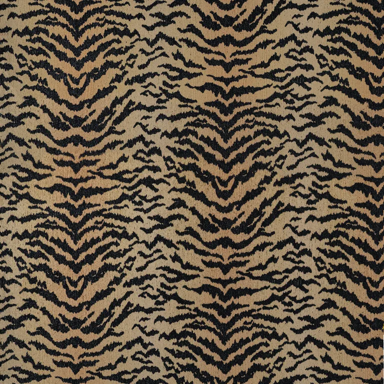 Thibaut Aja in Tiger (W711318)