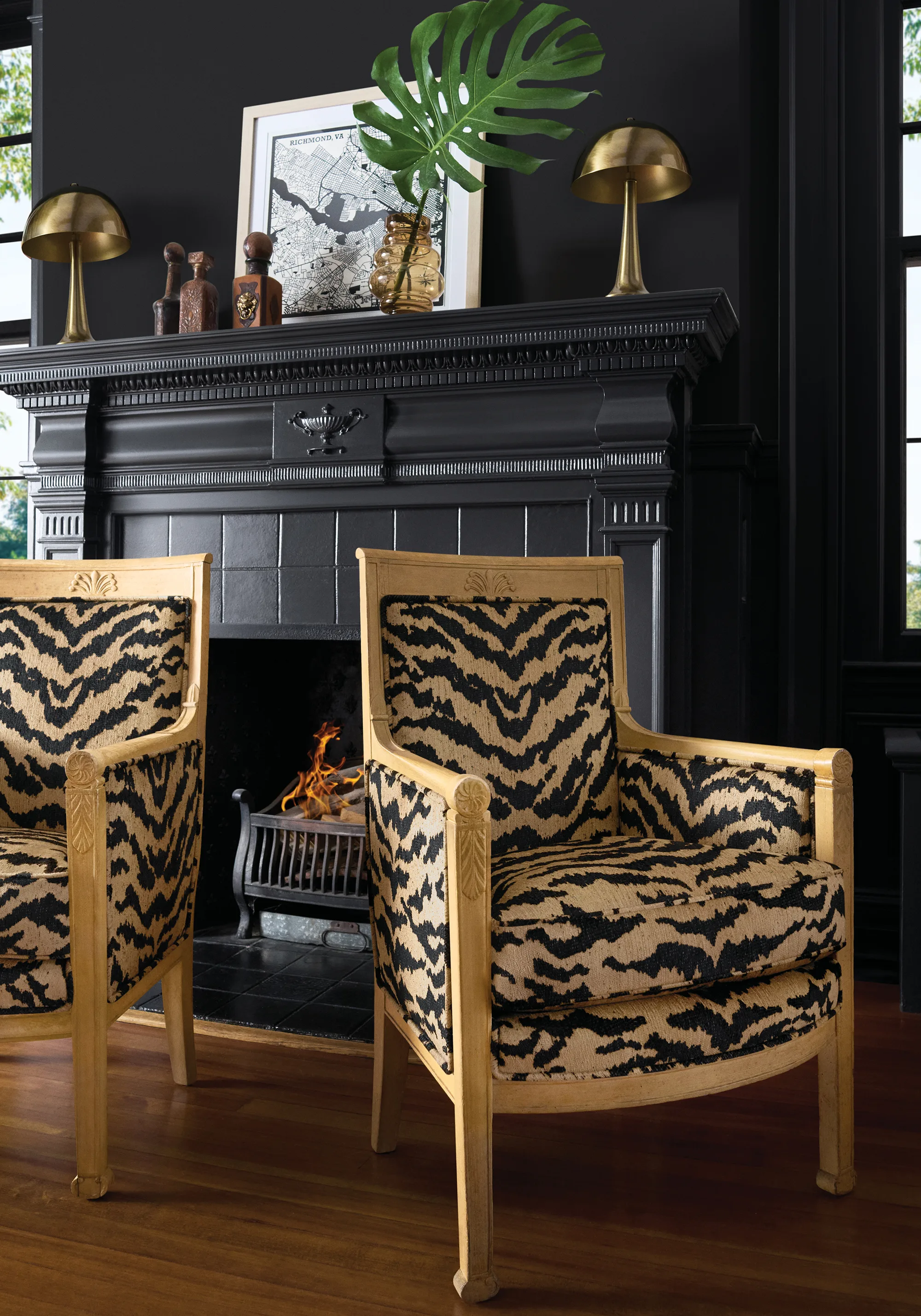 Thibaut Aja in Tiger (W711318)