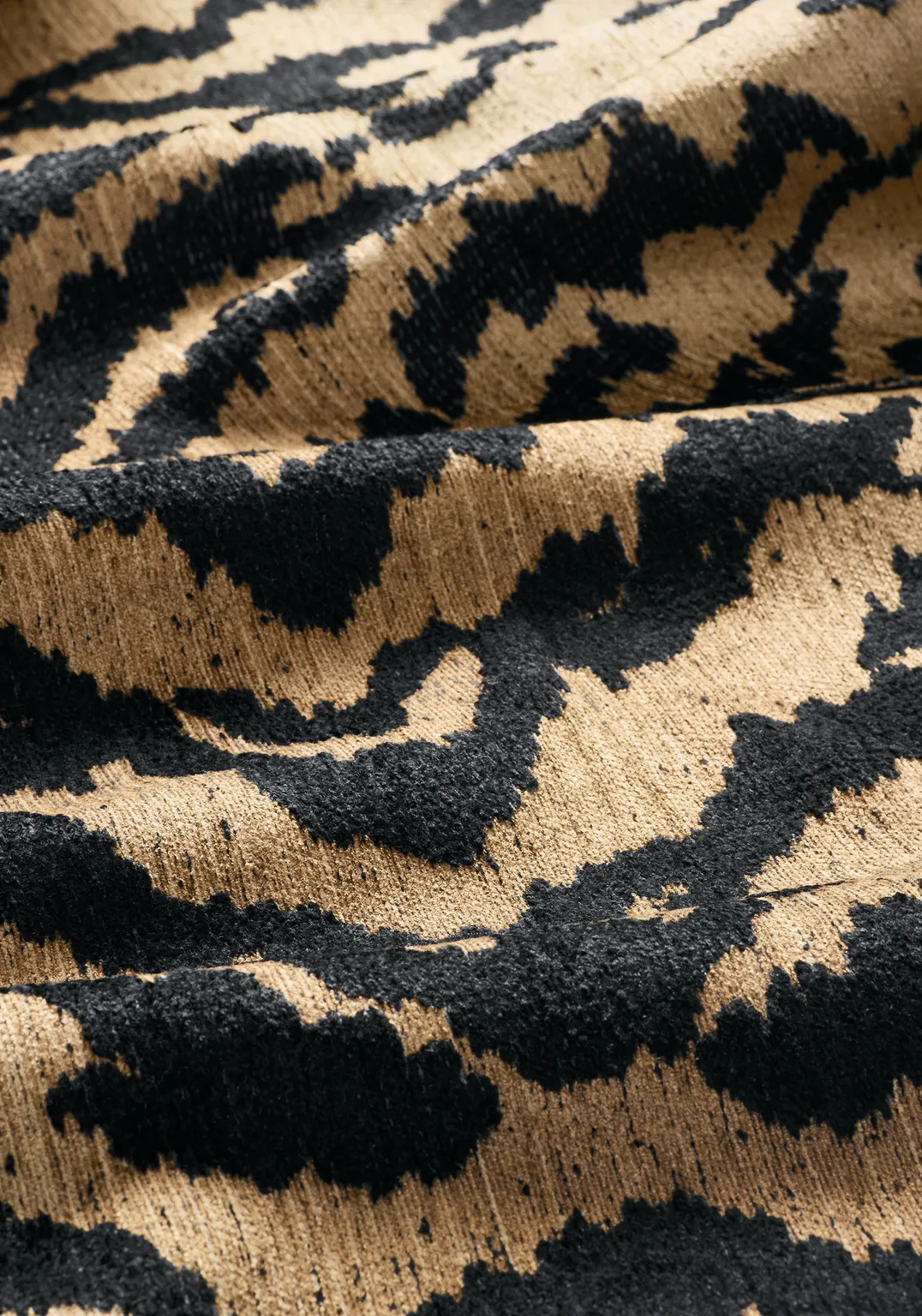 Thibaut Aja in Tiger (W711318)