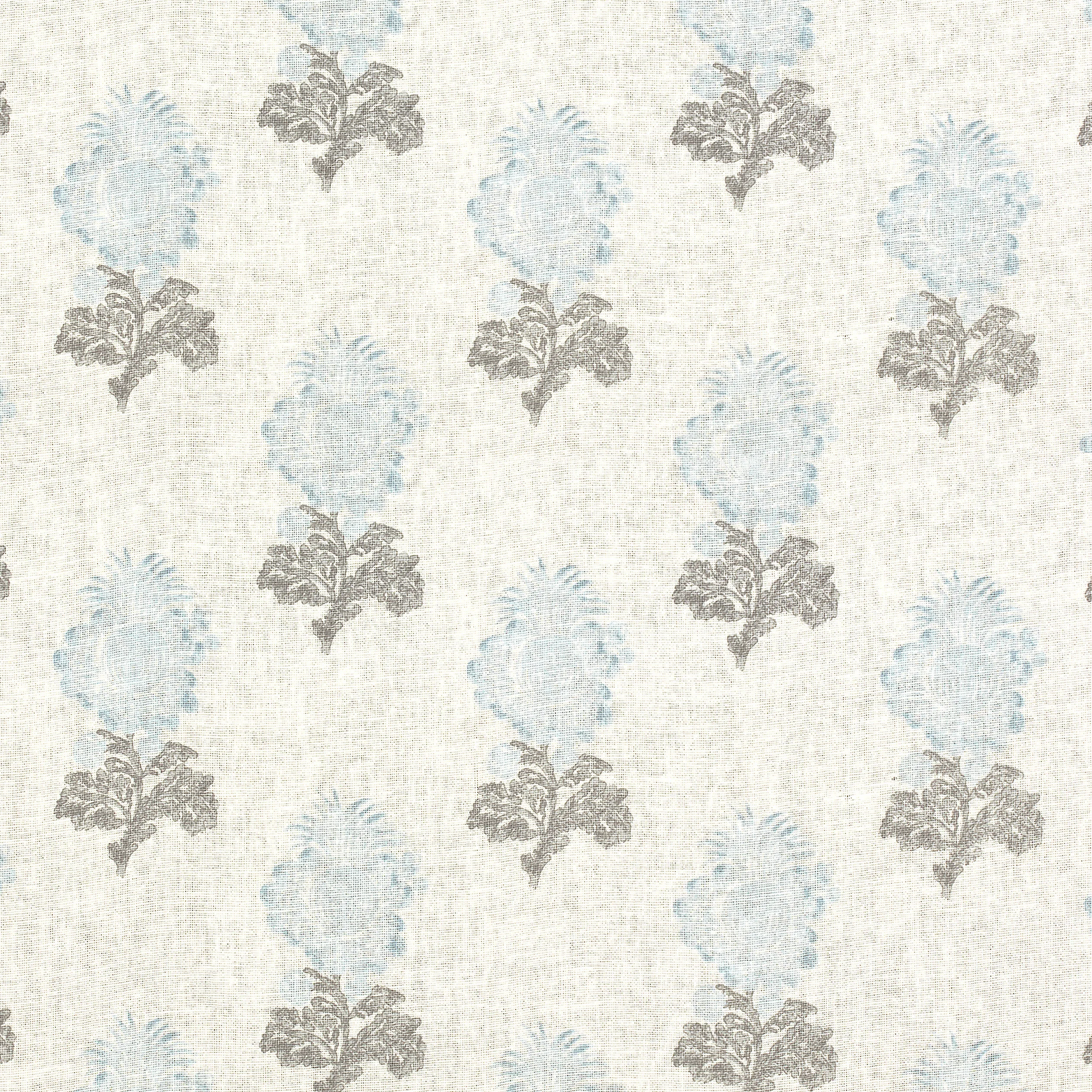 Thibaut Aldith in Aqua (F972607)
