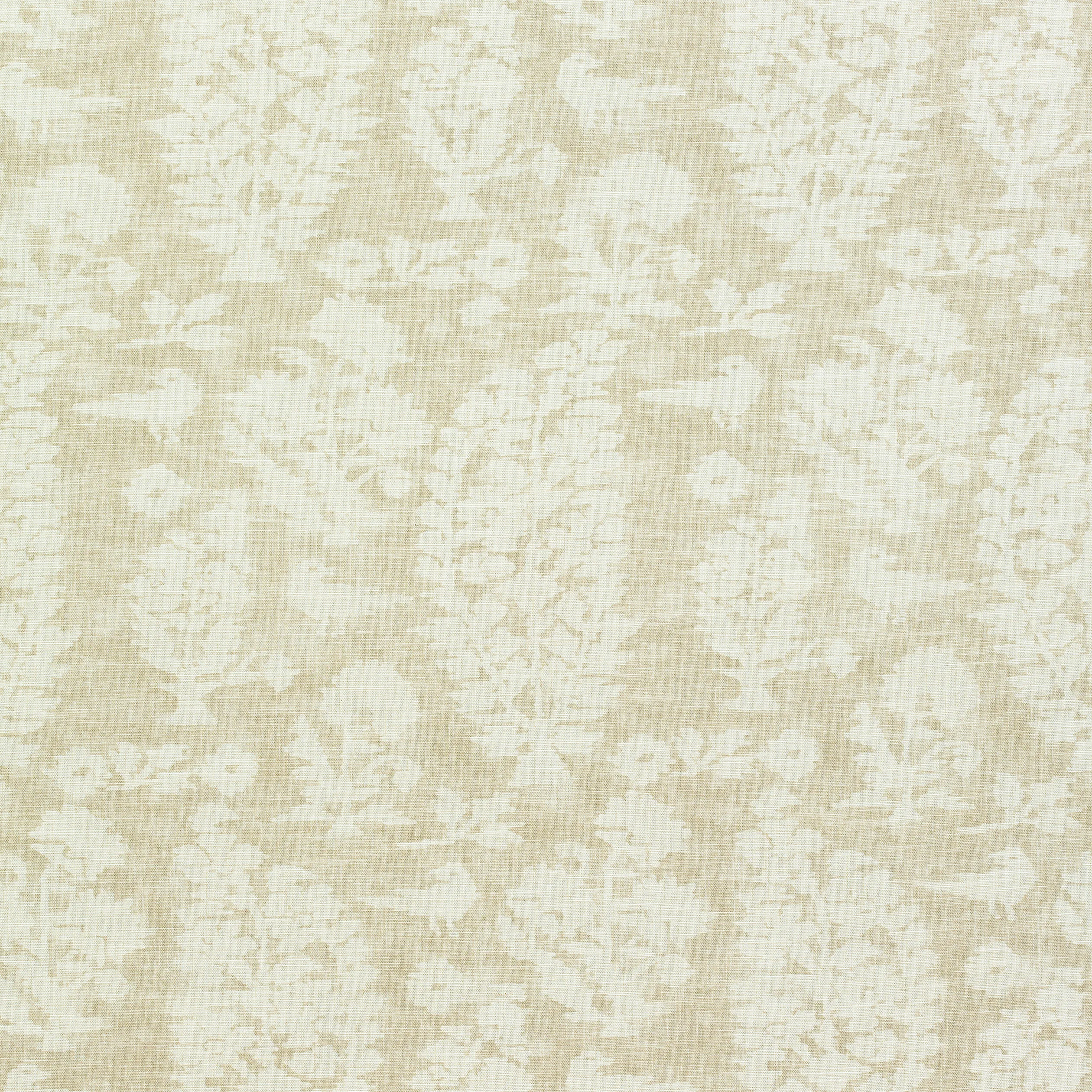 Thibaut Allaire in Beige (F972598)
