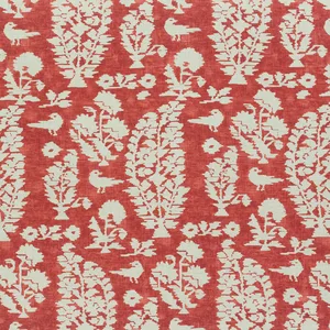 Thibaut Allaire in Red (F972599)