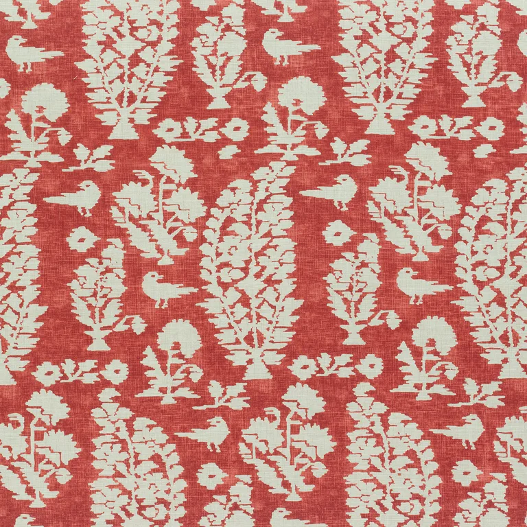 Thibaut Allaire in Red (F972599)