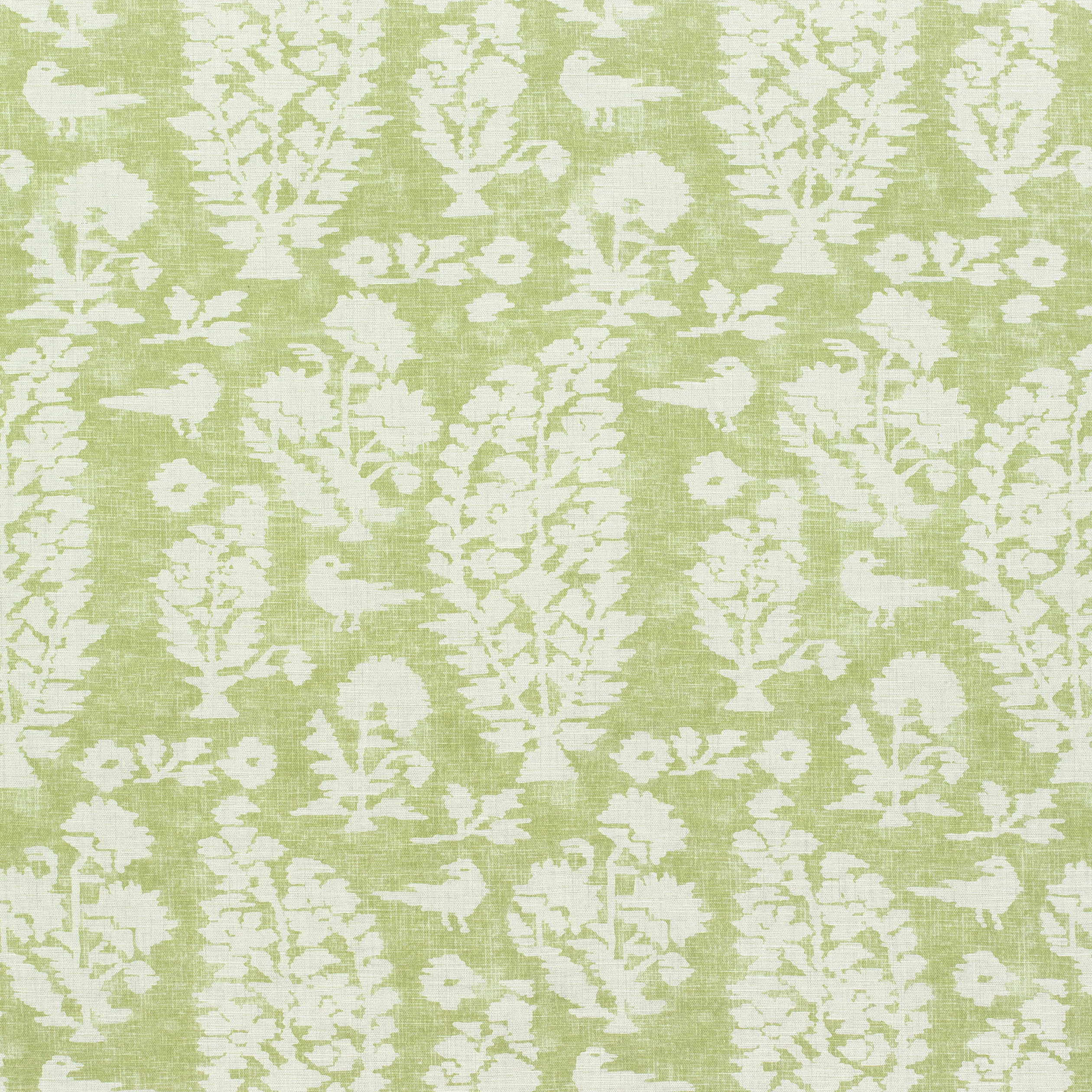 Thibaut Allaire in Spring Green (F972597)