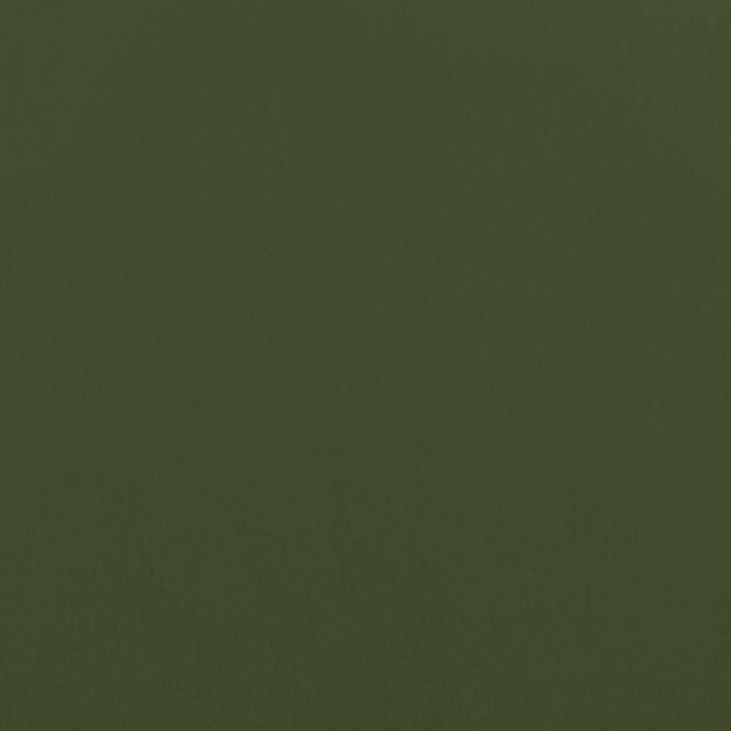 W8948 | Alto Velvet – Olive