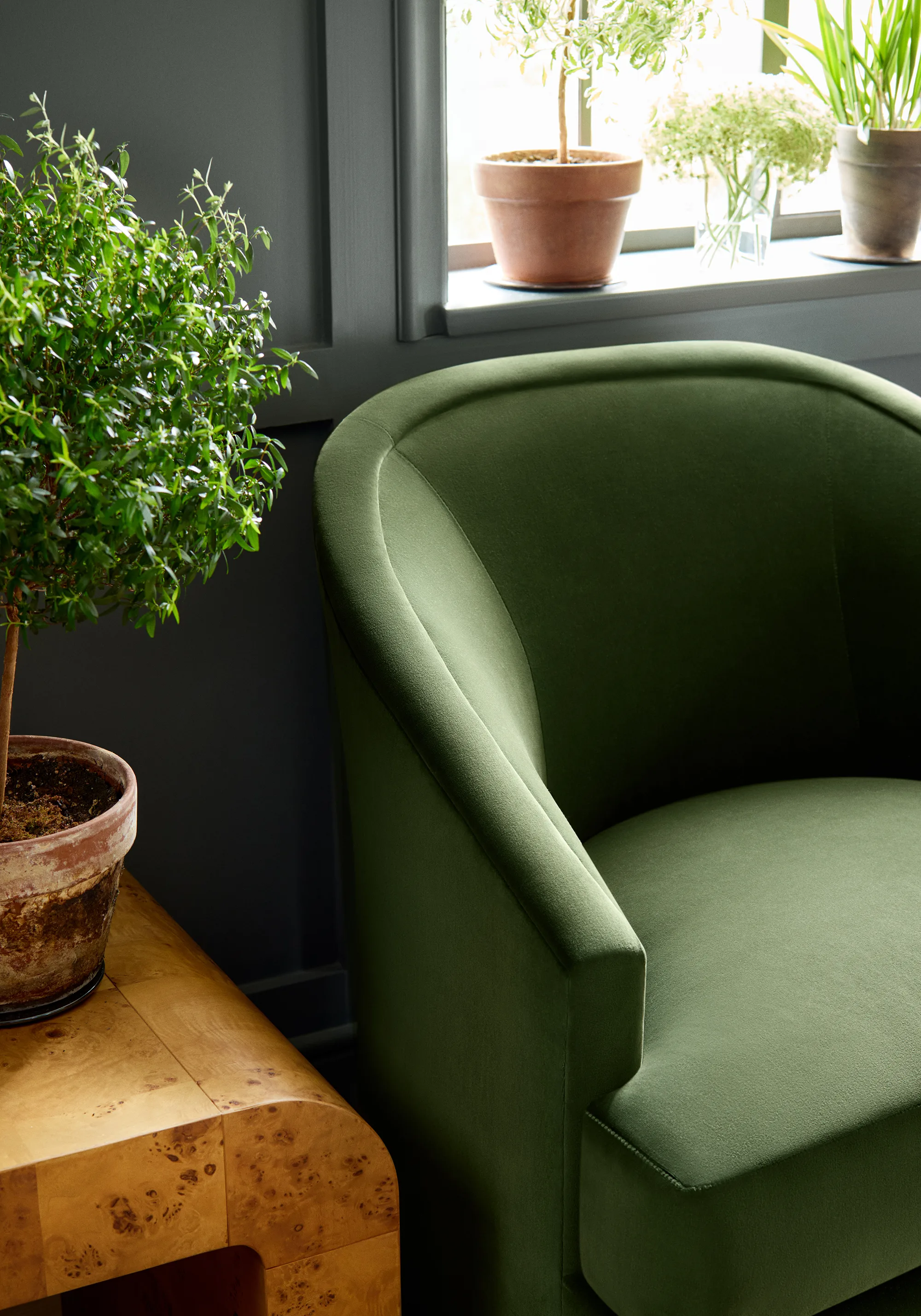 Thibaut Alto Velvet in Olive (W8948)