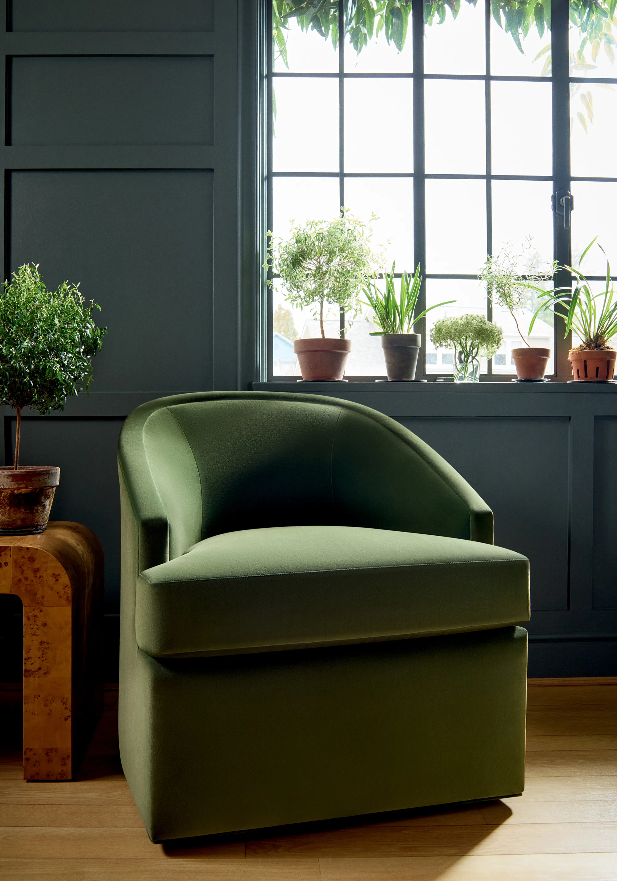 Thibaut Alto Velvet in Olive (W8948)