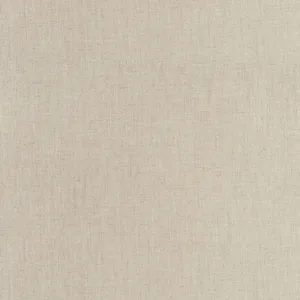 Thibaut Ambient in Lichen (W75203)