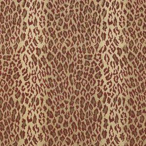 Thibaut Amur in Cardinal (W80434)