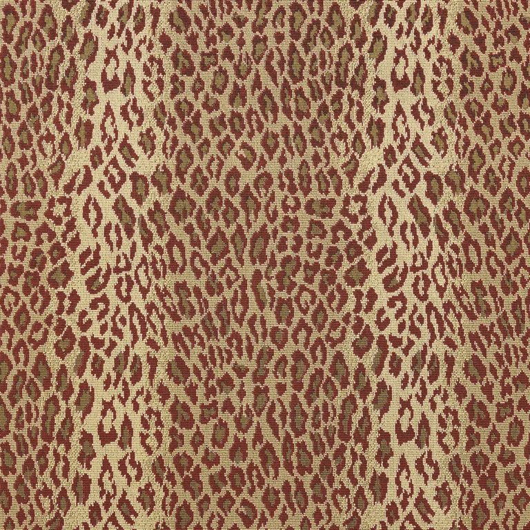 Thibaut Amur in Cardinal (W80434)