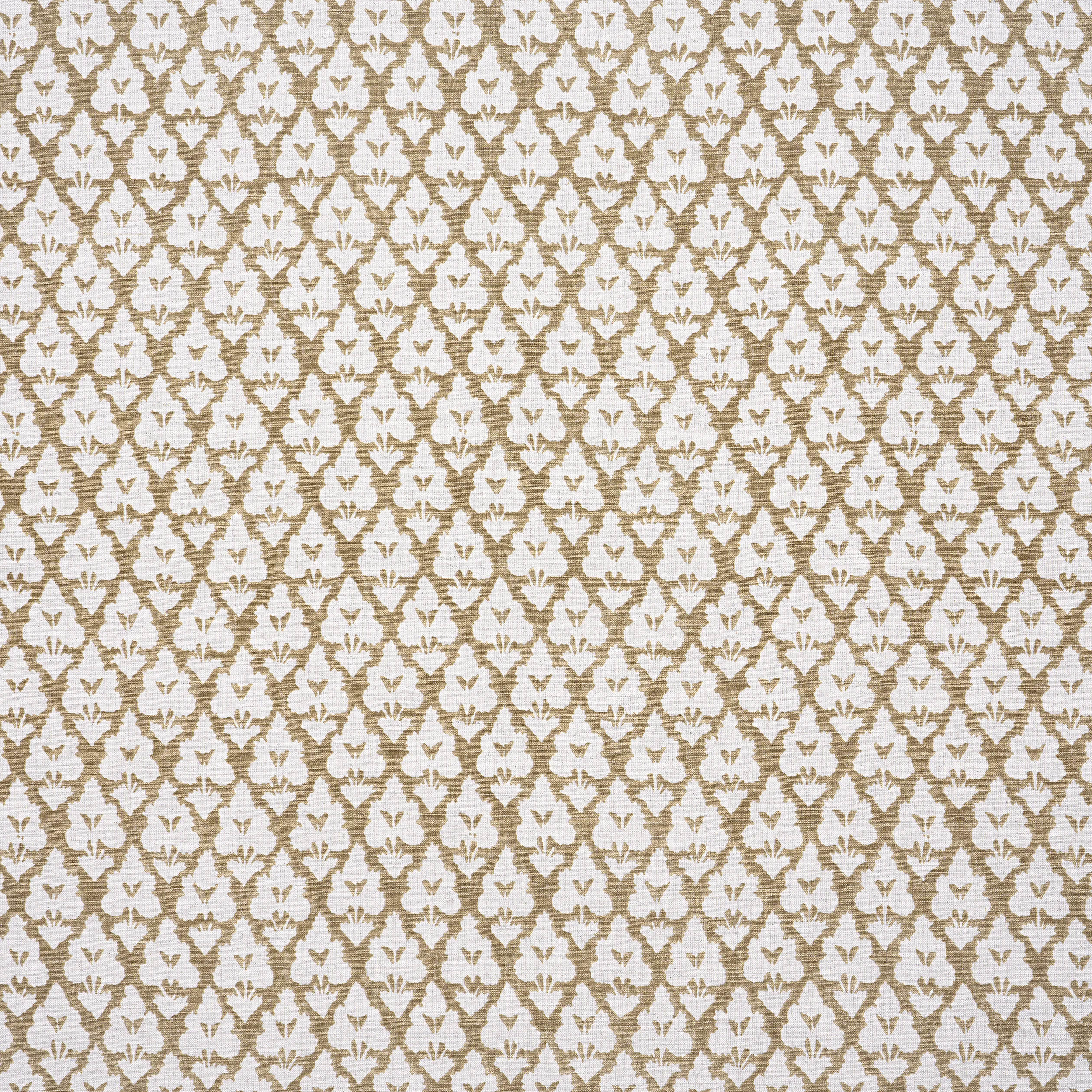 Thibaut Arboreta in Brown (F910836)