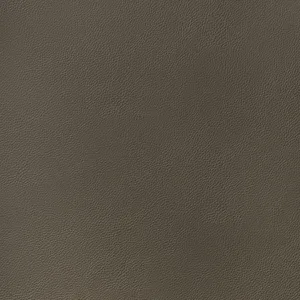 Thibaut Arcata in Bark (W78397)