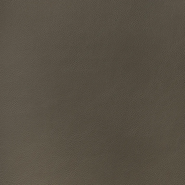 Thibaut Arcata in Bark (W78397)