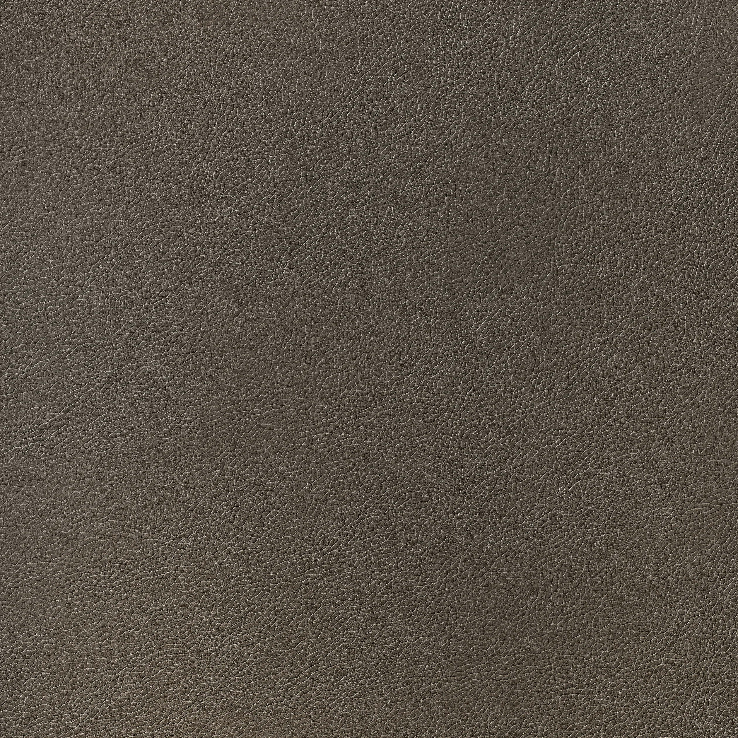 Thibaut Arcata in Bark (W78397)
