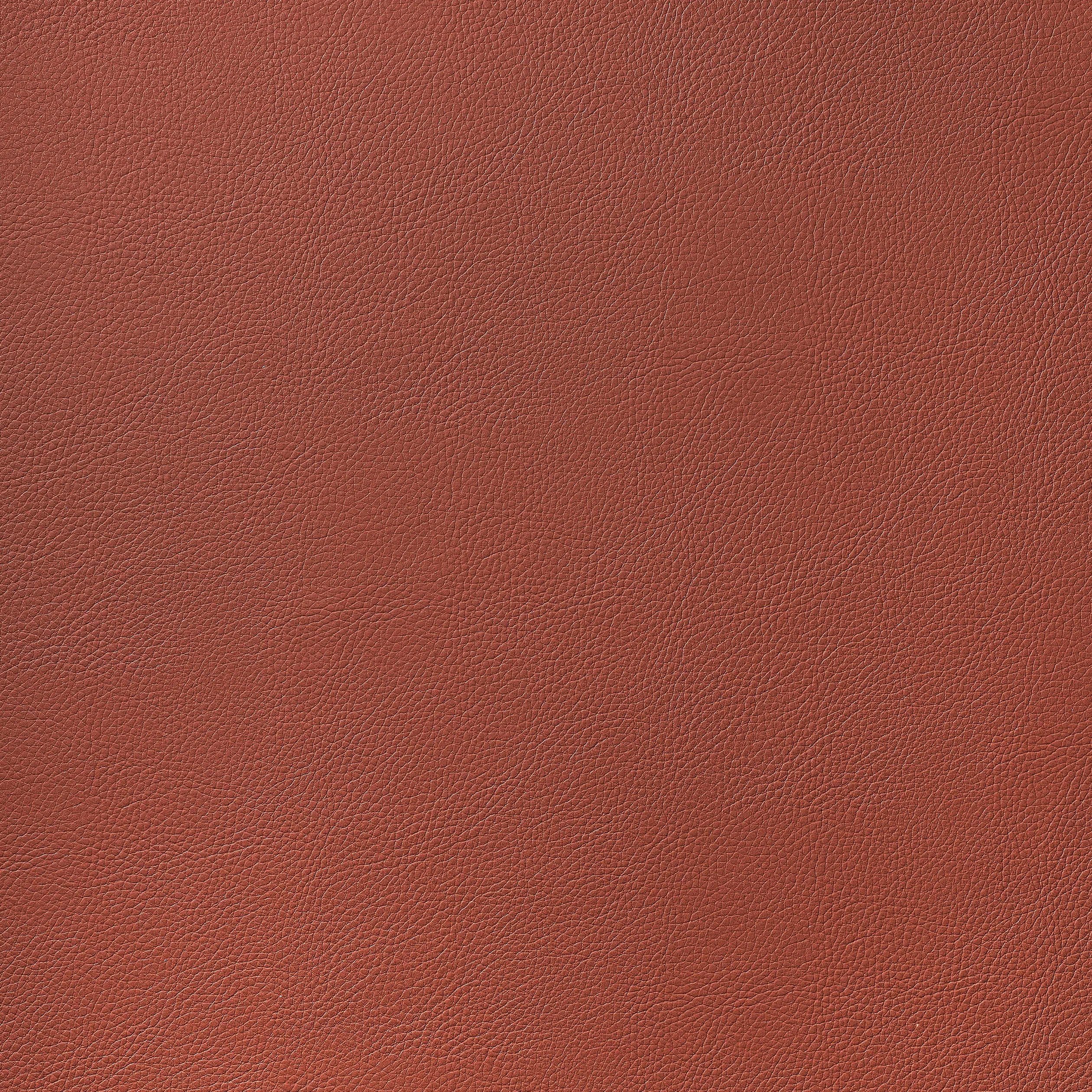 Thibaut Arcata in Brick (W78394)