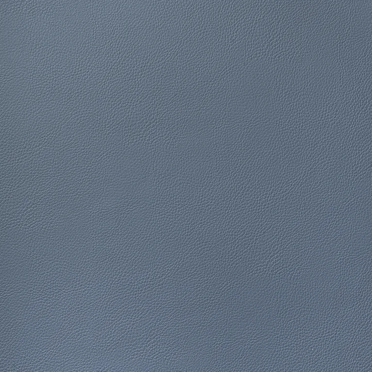 Thibaut Arcata in Denim (W78392)