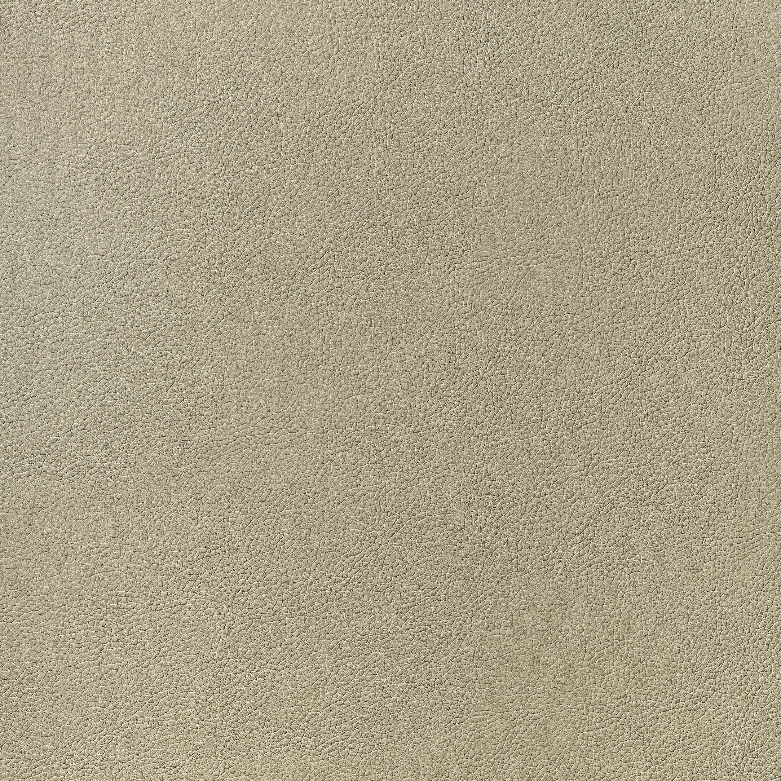 Thibaut Arcata in Dune (W78383)