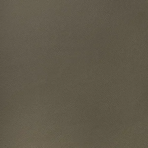 Thibaut Arcata in Hickory (W78396)