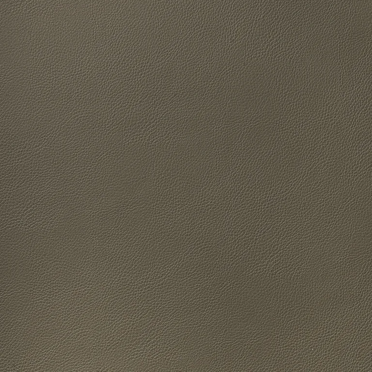 Thibaut Arcata in Hickory (W78396)