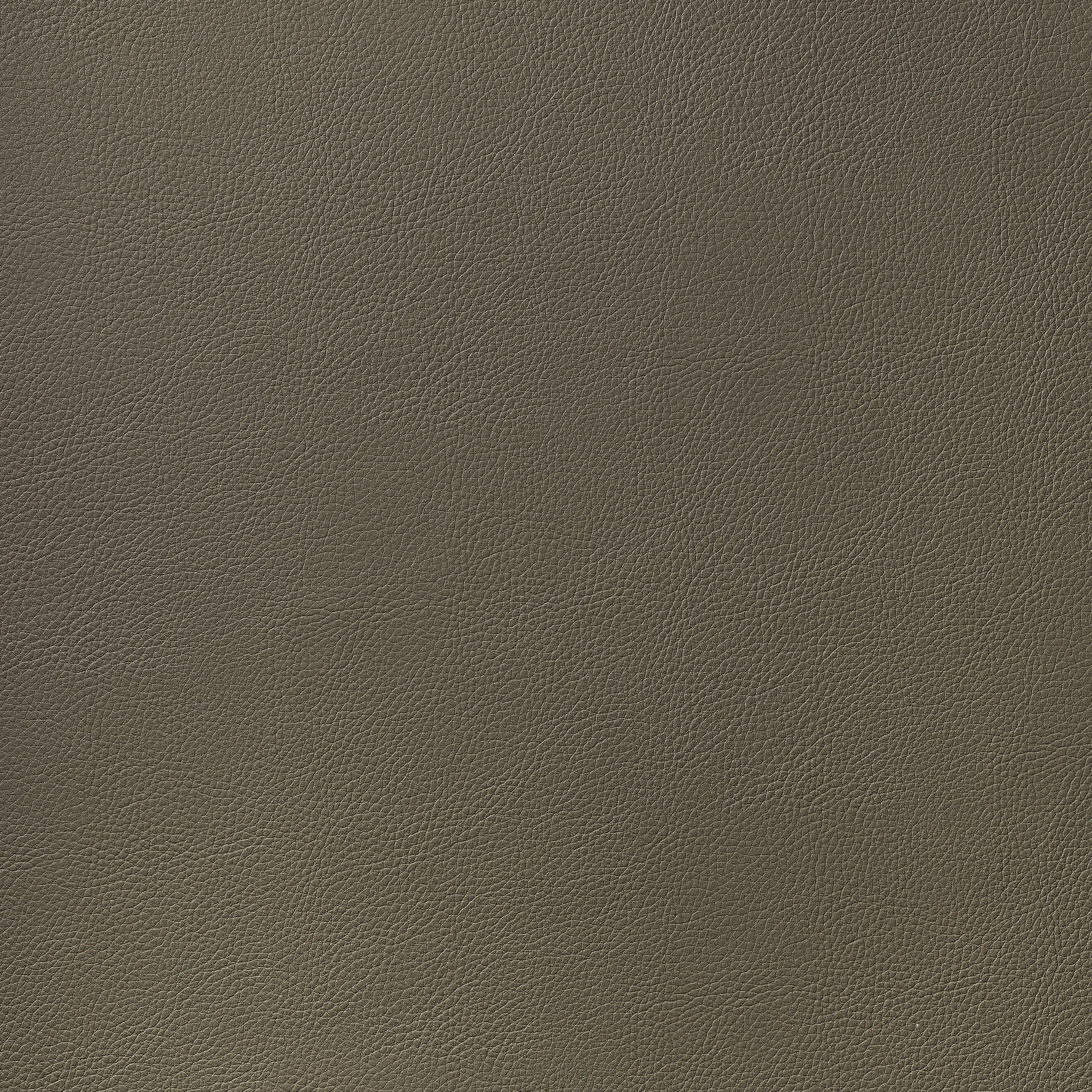 Thibaut Arcata in Hickory (W78396)