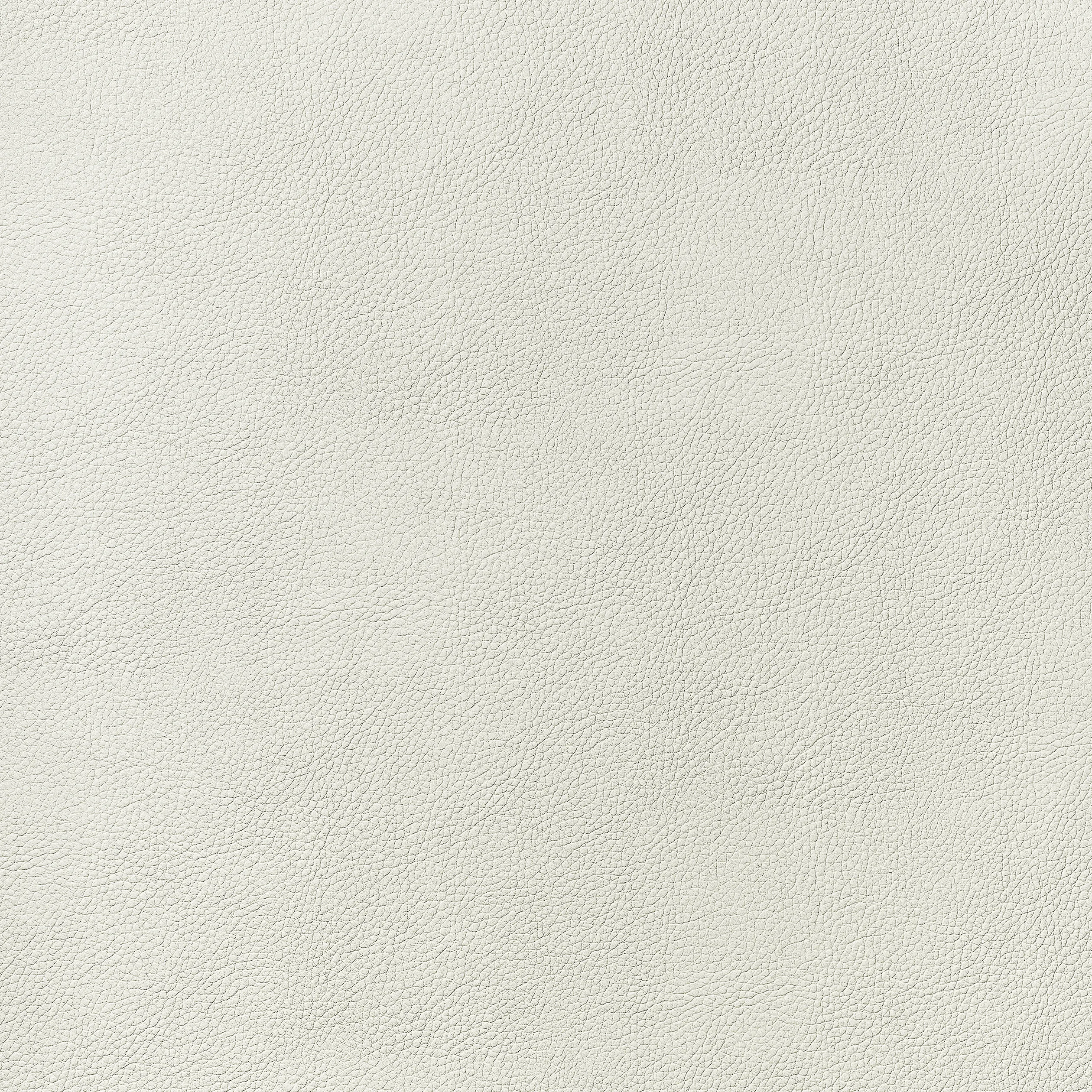 Thibaut Arcata in Ivory (W78381)