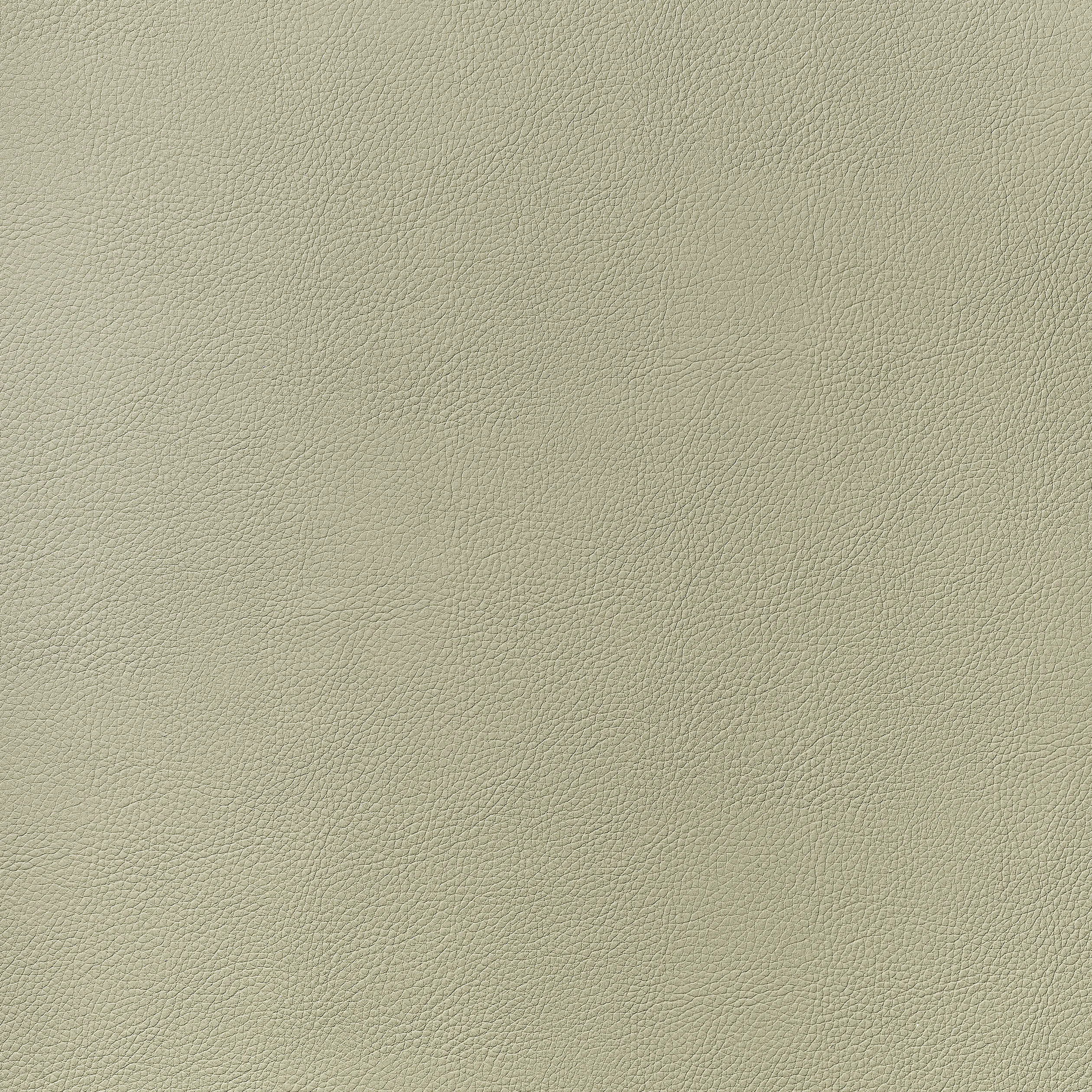 Thibaut Arcata in Oat (W78386)