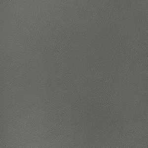 Thibaut Arcata in Storm (W78389)