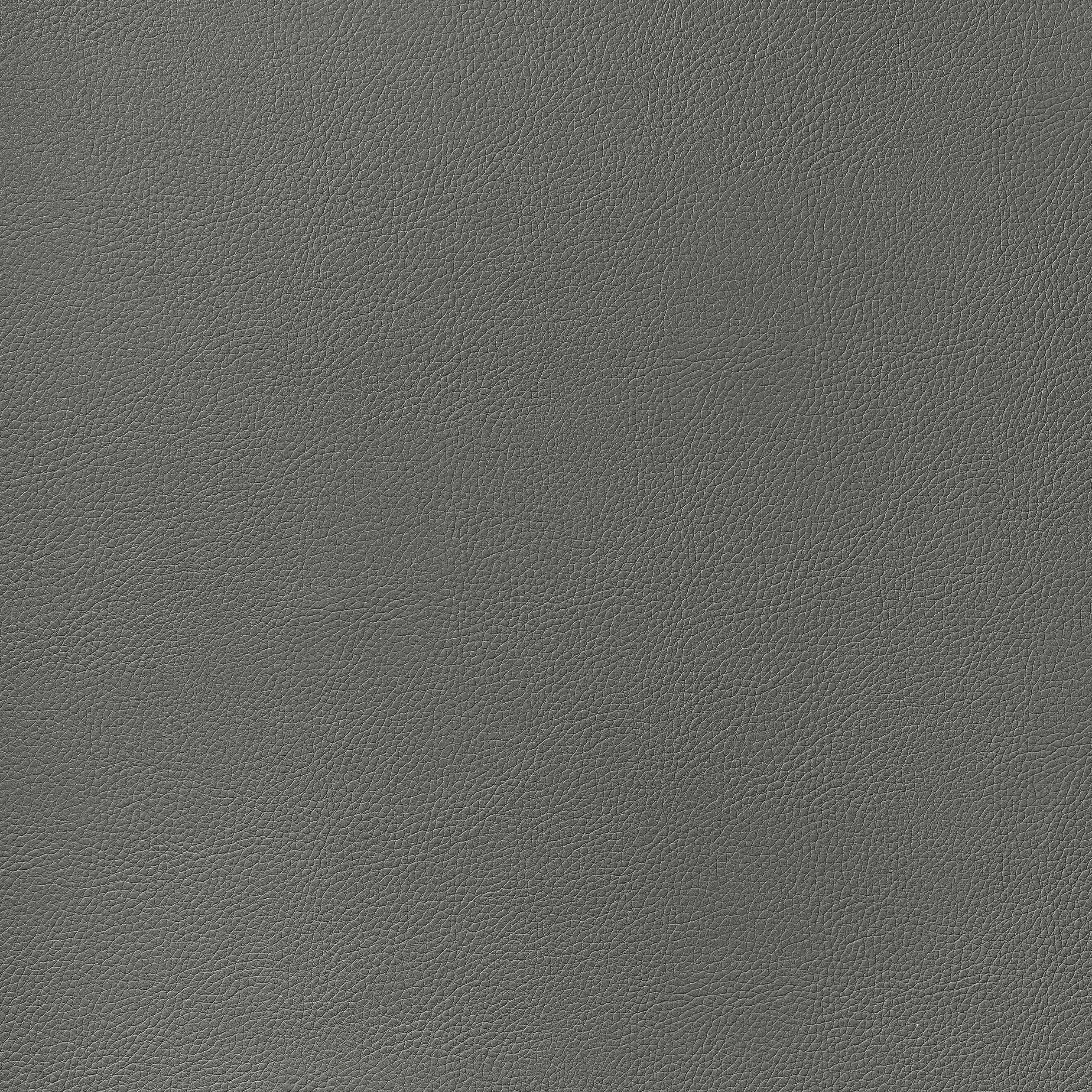 Thibaut Arcata in Storm (W78389)