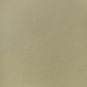 Thibaut Arcata in Twig (W78385)