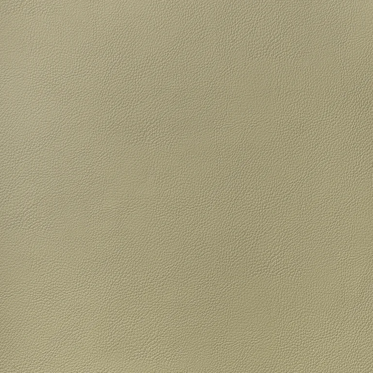 Thibaut Arcata in Twig (W78385)