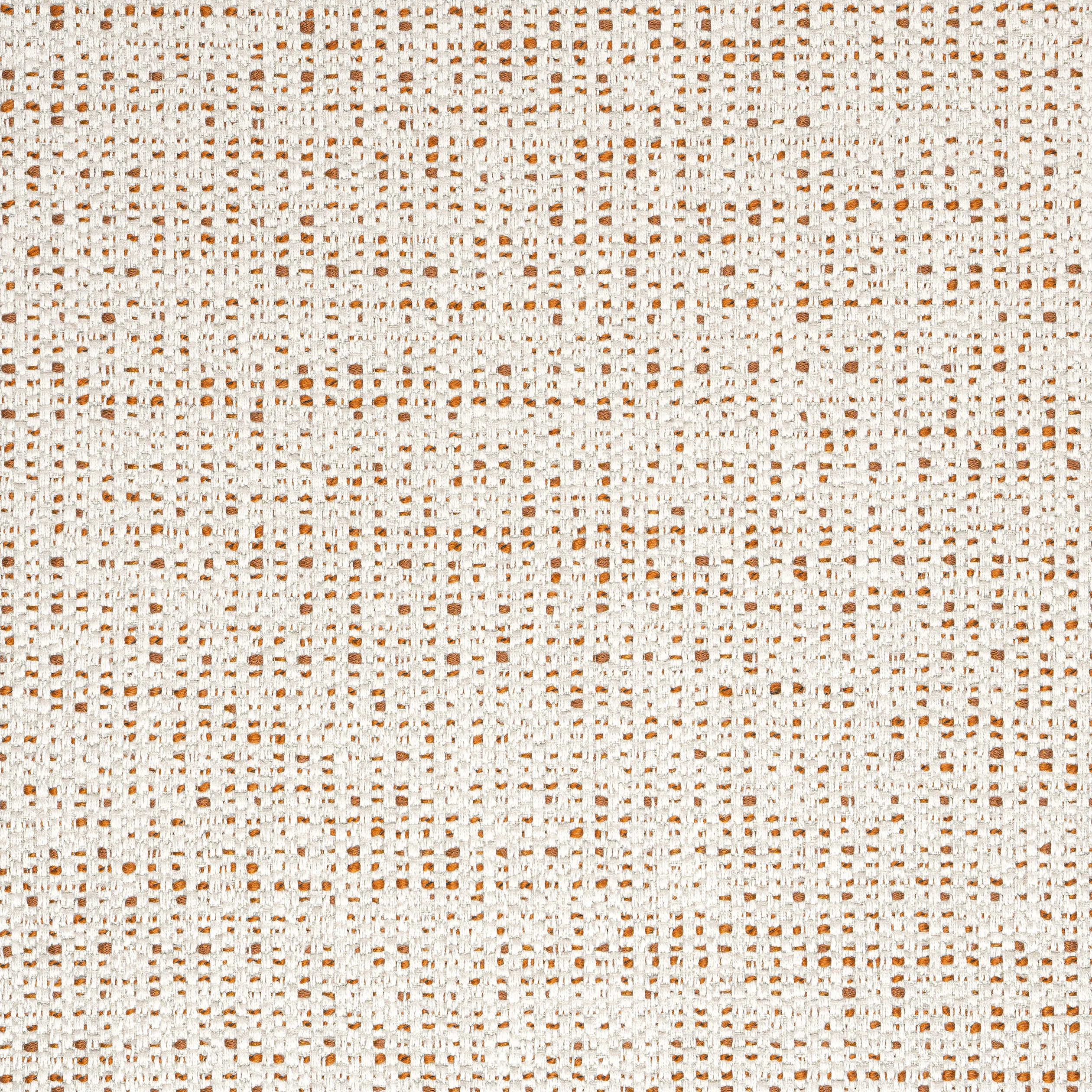 Thibaut Arno in Copper (W80949)