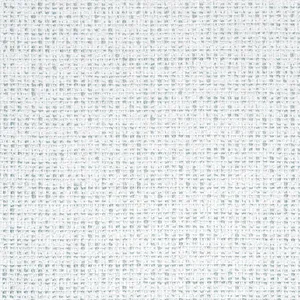 Thibaut Arno in Mist (W80946)